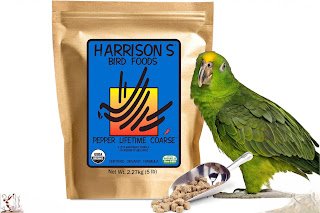 Harrison’s High Potency Mash: The Complete Guide to Better Bird Nutrition
