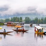 Discover India’s Timeless Beauty Through Nature and Heritage Tours