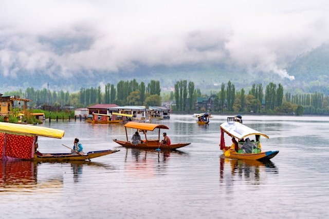 Discover India’s Timeless Beauty Through Nature and Heritage Tours