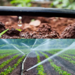The Long-Term Benefits of Sprinkler Repair for Improving Irrigation Efficiency and Reducing Maintenance Challenges