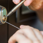 The Complete Guide to Understanding ERMI Mold Testing and Improving Indoor Air Quality