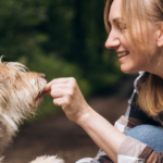 Building Better Canine Behaviour Through Professional Training and Positive Guidance