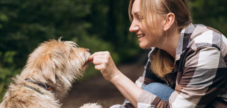 Building Better Canine Behaviour Through Professional Training and Positive Guidance