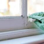The Complete Guide to Mold Inspection, Common Problems, Prevention Methods, and Maintaining a Healthier Environment