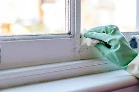 The Complete Guide to Mold Inspection, Common Problems, Prevention Methods, and Maintaining a Healthier Environment