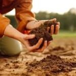 The Complete Guide to Effective Land Preparation and Development Solutions