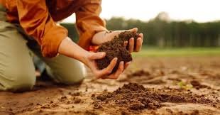The Complete Guide to Effective Land Preparation and Development Solutions