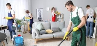 The Complete Guide to Professional Cleaning Solutions for Maintaining Fresh and Healthy Spaces
