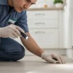 The Complete Guide to Effective Pest Prevention and Professional Ant Management Solutions