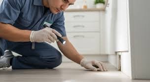 The Complete Guide to Effective Pest Prevention and Professional Ant Management Solutions
