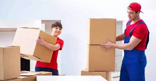 More Than Transportation: Why Professional Movers Are Essential for a Successful Relocation