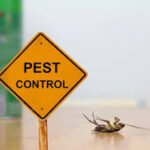 Important Pest Prevention Tips for Identifying Warning Signs and Maintaining a Pest-Free Environment
