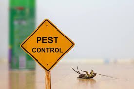 Important Pest Prevention Tips for Identifying Warning Signs and Maintaining a Pest-Free Environment