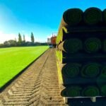 Why Specialist Grass Suppliers Offer More Than Just Turf Delivery