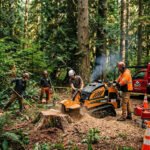 Tree Comes Down