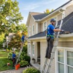 Gutter Cleaning